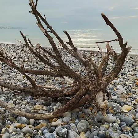 Le Clapotis De L'o, Calme, Balcon Sur La Mer, A 2 H De Paris Ault